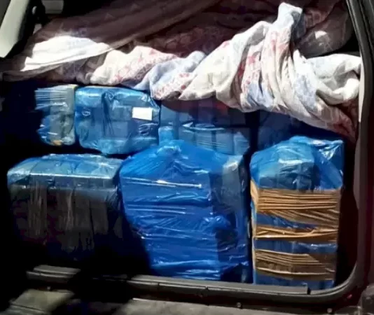 Mais de 280 kg de maconha são apreendidos em Palhoça