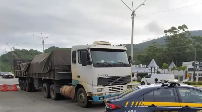 Carga ilegal de madeira amazônica é apreendida em SC