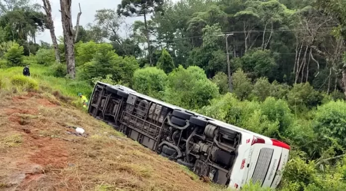 Ônibus que saiu de Florianópolis bate no Paraná e 7 morrem