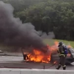 Veículo pega fogo após bater em poste na SC-401