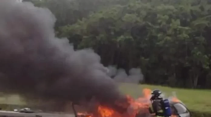Veículo pega fogo após bater em poste na SC-401