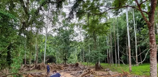Homem e duas crianças morrem em deslizamento em Rodeio Deslizamento destruiu residência no Morro do Pico, em Rodeio