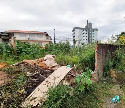 Mosquitos e caramujos: terrenos baldios são problema em São José Até 1,7 mil proprietários de terrenos baldios em São José são notificados para limpeza