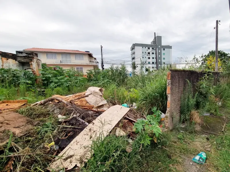 Até 1,7 mil proprietários de terrenos baldios em São José são notificados para limpeza