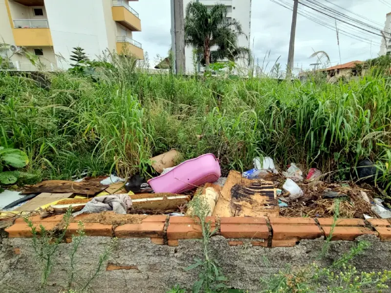 Terrenos sem limpeza podem ser multados em R$ 20/m² em São José