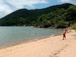 Praia dos Cedros