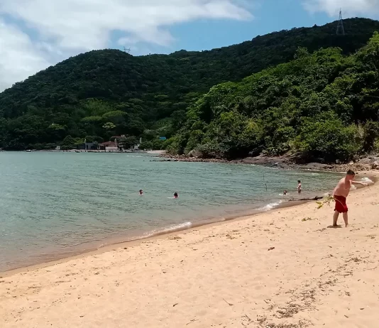 Praia dos Cedros