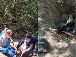 Mais três pessoas são presas envolvidas em assassinato na Lagoa do Peri Polícia Civil localiza corpo enterrado em área próxima à Lagoa do Peri, na capital