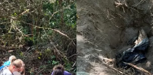 Polícia Civil localiza corpo enterrado em área próxima à Lagoa do Peri, na capital