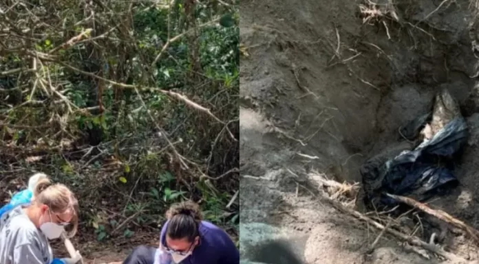 Polícia Civil localiza corpo enterrado em área próxima à Lagoa do Peri, na capital
