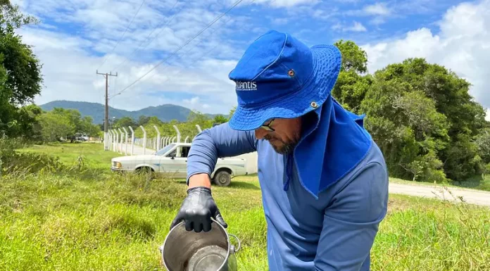 Água de canais de drenagem em Florianópolis é testada em busca de poluidores