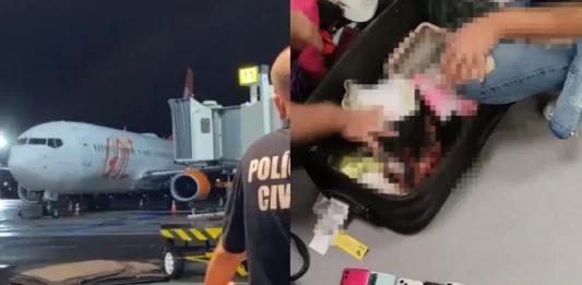 Mulher é retirada de avião por transportar 14 celulares 14 celulares sem comprovação de origem foram apreendidos