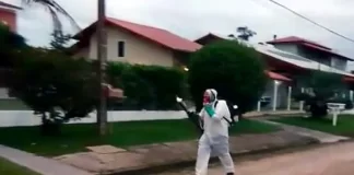 Pulverização de veneno contra mosquito da dengue em Florianópolis