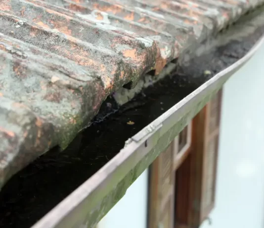 Calhas, vasos, potes, ralos: o que você pode conferir para combater o mosquito da dengue calha com acúmulo de água parada