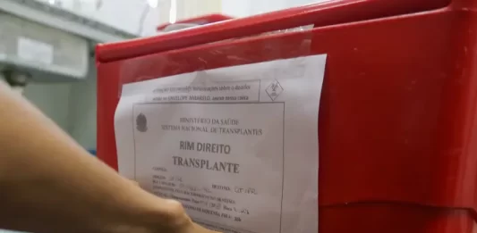 Declaração de doador de órgãos pode ser feita gratuitamente nos cartórios Famílias de Santa Catarina estão entre as que mais autorizam doações de órgãos no país