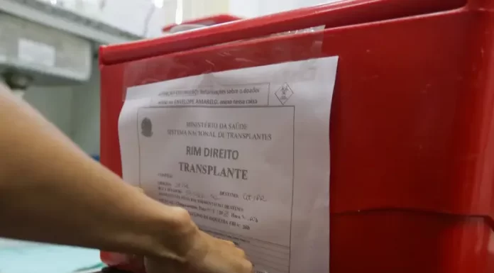 Famílias de Santa Catarina estão entre as que mais autorizam doações de órgãos no país
