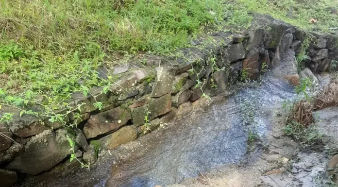 Blitz Sanear flagra descarte de esgoto em cachoeira e autua responsáveis no Ribeirão da Ilha