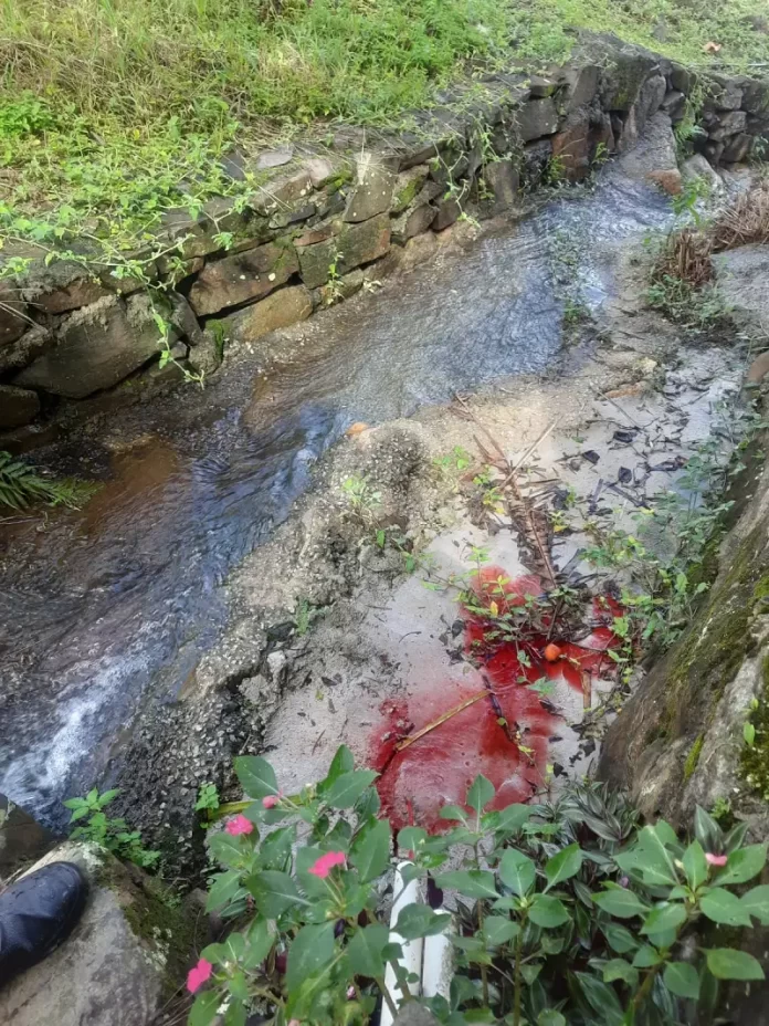 Blitz Sanear flagra descarte de esgoto em cachoeira e autua responsáveis no Ribeirão da Ilha