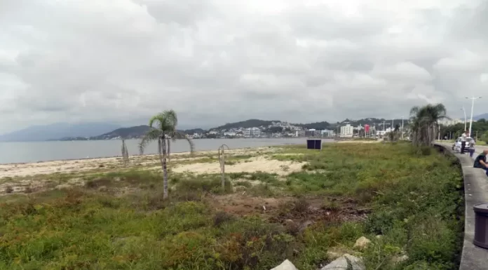 40 mudas de árvores são plantadas na Beira-mar de São José