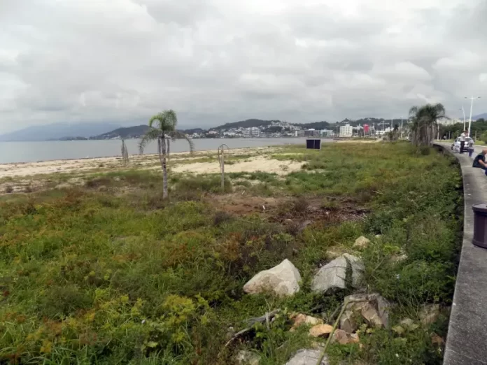 40 mudas de árvores são plantadas na Beira-mar de São José