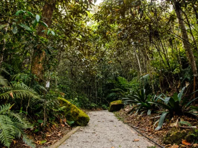 Trilha no Jardim Botânico de São José