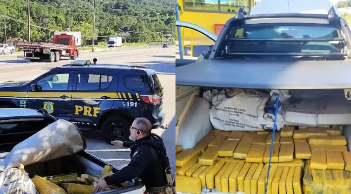 PRF apreende 333 quilos de maconha em picape na BR-101 em Biguaçu