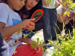 Escolas de São José mobilizadas para o combate ao mosquito da dengue Escolas de São José mobilizadas contra o mosquito da dengue