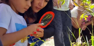 Escolas de São José mobilizadas contra o mosquito da dengue