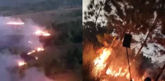 Focos de incêndio no Parque do Tabuleiro na noite de sábado