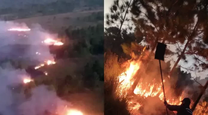 Focos de incêndio no Parque do Tabuleiro na noite de sábado