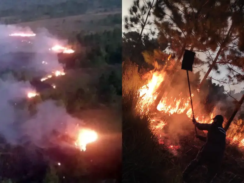 Focos de incêndio no Parque do Tabuleiro na noite de sábado