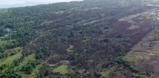 Incêndio no Parque da Serra do Tabuleiro é extinto após um dia de combate