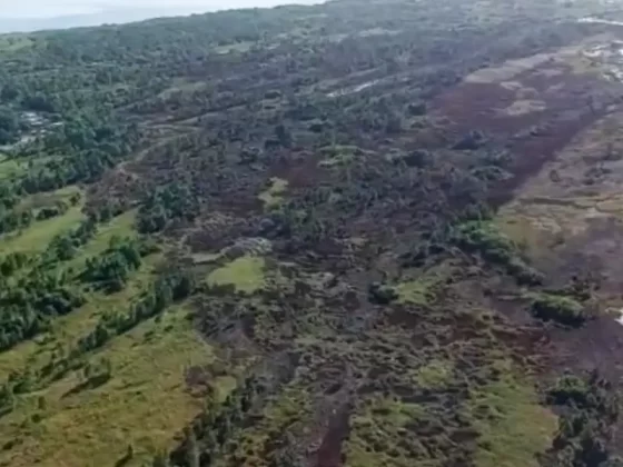 Incêndio no Parque da Serra do Tabuleiro é extinto após um dia de combate