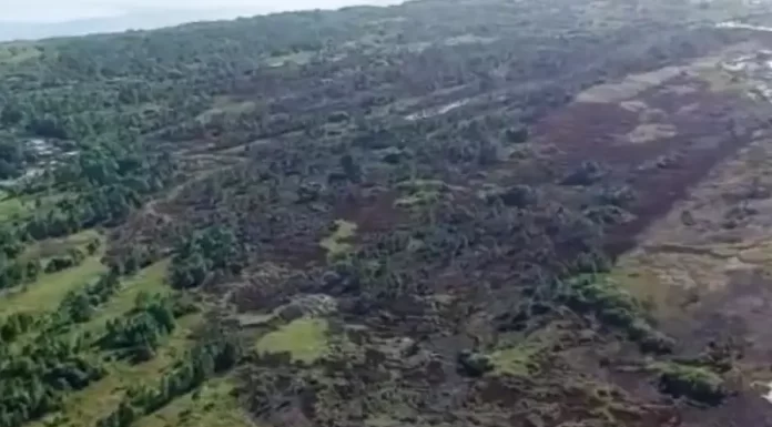 Incêndio no Parque da Serra do Tabuleiro é extinto após um dia de combate