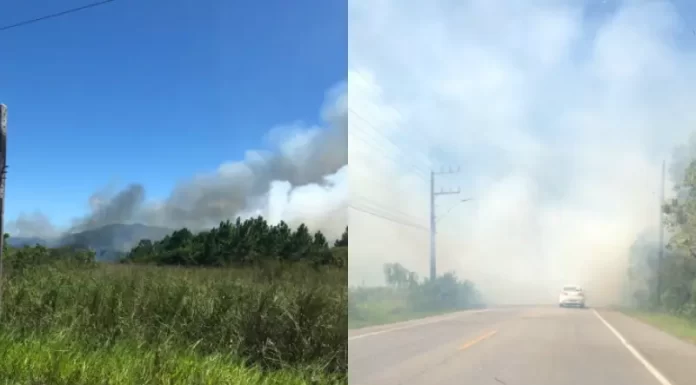 Grande incêndio atinge Parque do Tabuleiro e interdita rodovia