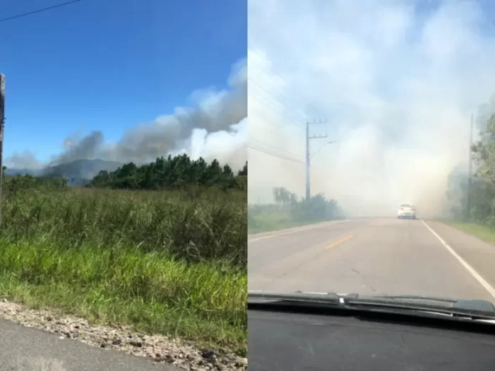 Grande incêndio atinge Parque do Tabuleiro e interdita rodovia