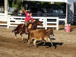 Rodeio do CTG Os Praianos começa neste sábado Rodeio do CTG Os Praianos
