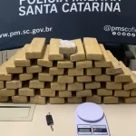 50 quilos de maconha apreendidos em São José