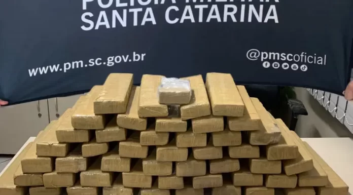 50 quilos de maconha apreendidos em São José