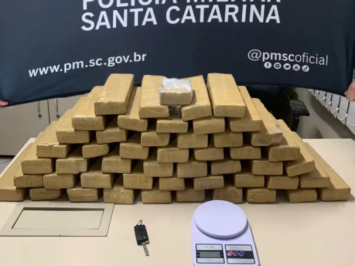 50 quilos de maconha apreendidos em São José