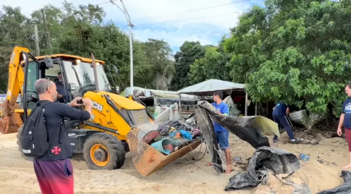 Etapa na Baía dos Golfinhos recolhe 7,2 toneladas de resíduos