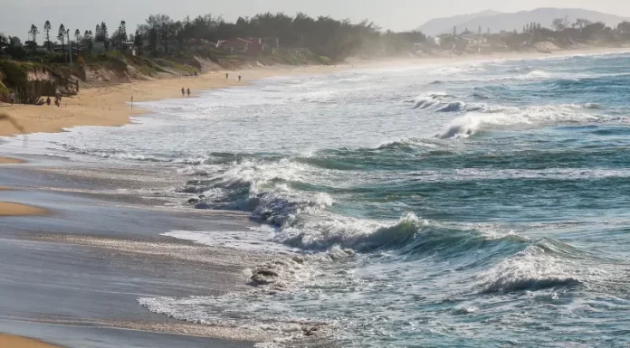 Praia do Campeche