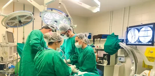 Governo estadual cumpre 38% da promessa de cirurgias eletivas Hospital Azambuja realiza primeiras cirurgias eletivas de alta complexidade em ortopedia pelo SUS