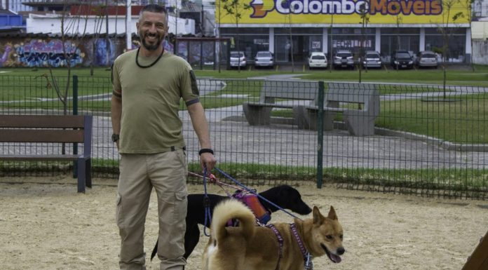 Cães resgatados São José são colocados para adoção