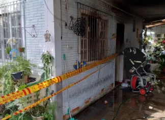 Incêndio mata quatro cães no Morro das Pedras