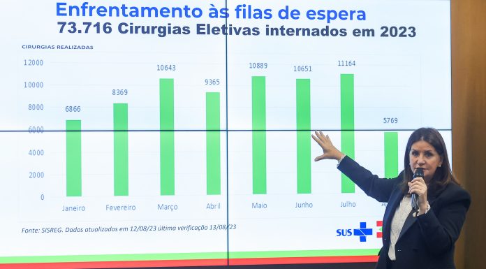 Carmen Zanotto atualiza números de cirurgias eletivas em SC