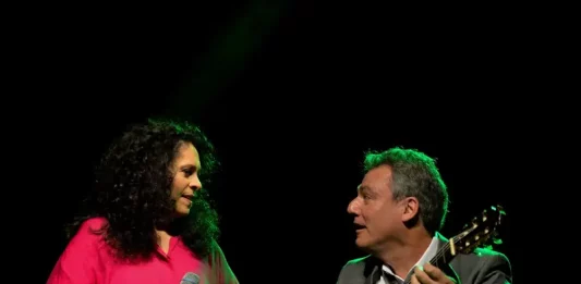 Luiz Meira, que tocou com Gal, reúne artistas catarinenses para homenagem à cantora