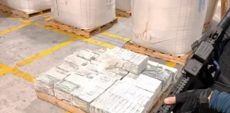 Carga de cocaína avaliada em R$ 37 milhões é apreendida em Navegantes