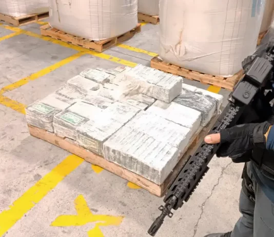 Carga de cocaína avaliada em R$ 37 milhões é apreendida em Navegantes