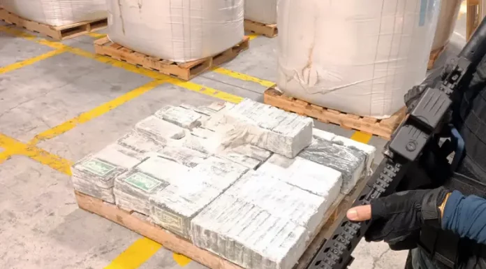 Carga de cocaína avaliada em R$ 37 milhões é apreendida em Navegantes